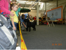 ����������� 104.jpg