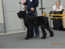 ����������� 107.jpg