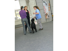 ����������� 110.jpg