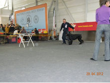 ����������� 111.jpg