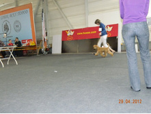 ����������� 112.jpg