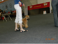 ����������� 113.jpg