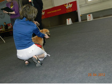 ����������� 114.jpg