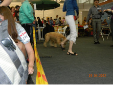 ����������� 116.jpg