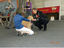 ����������� 118.jpg