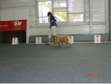 ����������� 120.jpg