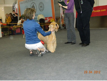 ����������� 121.jpg