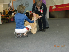 ����������� 122.jpg