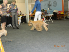 ����������� 123.jpg