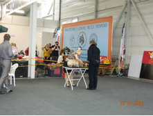 ����������� 124.jpg