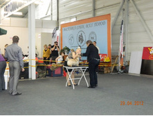 ����������� 125.jpg