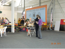 ����������� 126.jpg