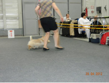 ����������� 127.jpg