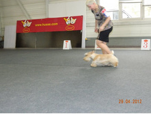 ����������� 128.jpg