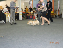 ����������� 129.jpg