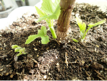 ������� � ������.JPG