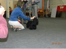 ����������� 132.jpg