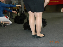 ����������� 133.jpg