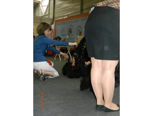 ����������� 135.jpg