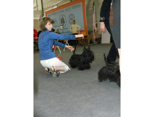 ����������� 136.jpg