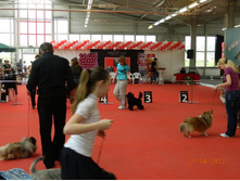 ����������� 141.jpg