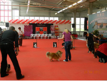 ����������� 142.jpg