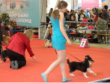 ����������� 143.jpg