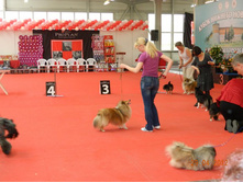 ����������� 144.jpg