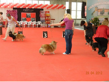 ����������� 145.jpg