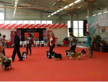 ����������� 149.jpg