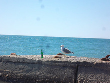 "� ��� ����� ��������??? "