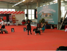 ����������� 150.jpg