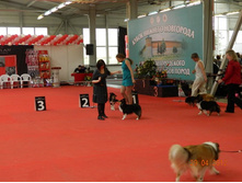 ����������� 151.jpg