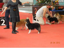 ����������� 152.jpg