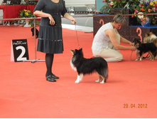 ����������� 153.jpg