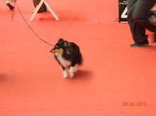 ����������� 154.jpg