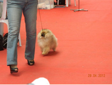 ����������� 155.jpg