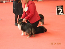 ����������� 156.jpg