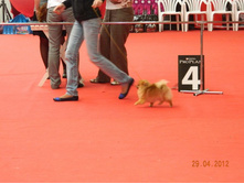 ����������� 157.jpg