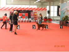 ����������� 161.jpg