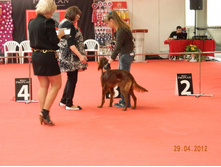 ����������� 162.jpg