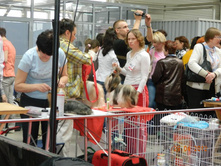 ����������� 163.jpg