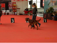 ����������� 164.jpg