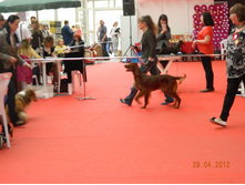 ����������� 166.jpg