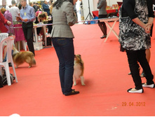 ����������� 168.jpg