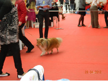 ����������� 170.jpg