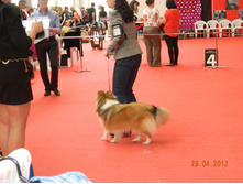 ����������� 172.jpg