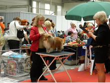 ����������� 173.jpg