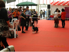 ����������� 174.jpg