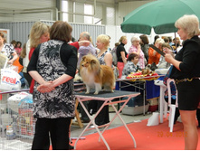 ����������� 175.jpg